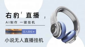右豹小说无人直播挂机吸金项目，简单易行收益稳定， 月入1000+-旺仔资源库