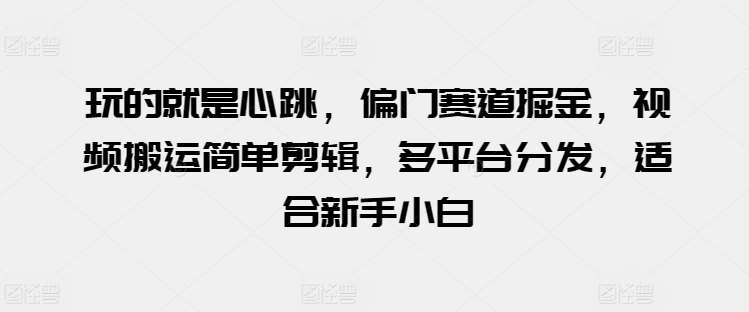 玩的就是心跳，偏门赛道掘金，视频搬运简单剪辑，多平台分发，适合新手小白【揭秘】-旺仔资源库