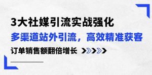 （10563期）3大社媒引流实操强化，多渠道站外引流/高效精准获客/订单销售额翻倍增长-旺仔资源库