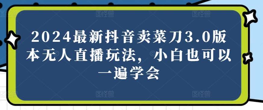 2024最新抖音卖菜刀3.0版本无人直播玩法，小白也可以一遍学会【揭秘】-旺仔资源库