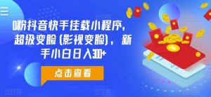 0粉抖音快手挂载小程序，超级变脸，新手小白日入300+【揭秘】-旺仔资源库