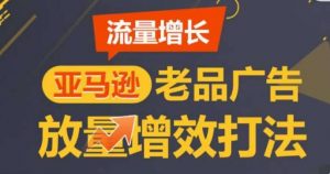 亚马逊流量增长-老品广告放量增效打法，循序渐进，打造更多TOP listing​-旺仔资源库