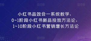 小红书品效合一系统教学，​0~1阶段小红书新品投放方法论，​1~10阶段小红书营销增长方法论-旺仔资源库