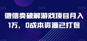 微信卖破解游戏项目月入1万，0成本资源已打包【揭秘】-旺仔资源库