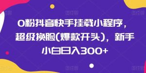 0粉抖音快手挂载小程序，超级换脸，新手小白日入300+【揭秘】-旺仔资源库