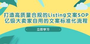 （10585期）打造高质量合规Listing文案SOP，亿级大卖家自用的文案标准化流程-旺仔资源库