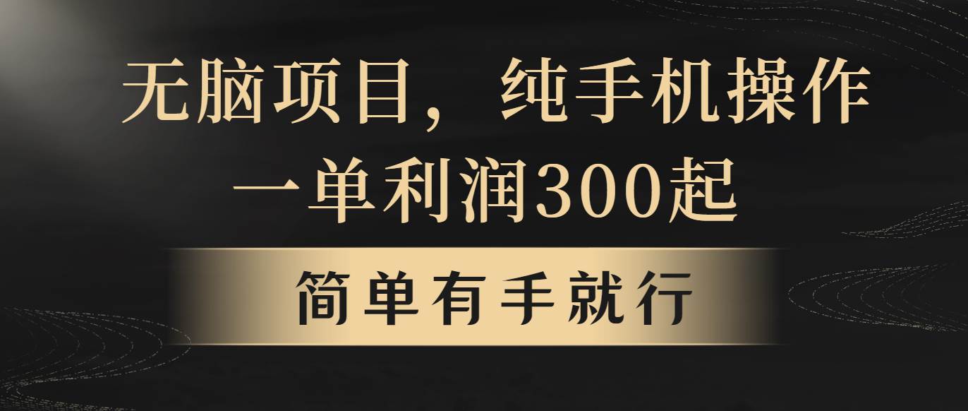 （10589期）无脑项目，一单几百块，轻松月入5w+，看完就能直接操作-旺仔资源库