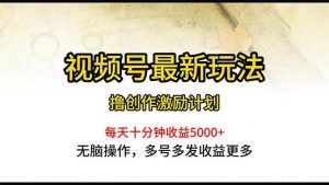 （10591期）视频号最新玩法，每日一小时月入5000+-旺仔资源库