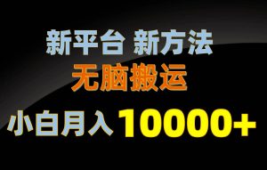 （10605期）新平台新方法，无脑搬运，月赚10000+，小白轻松上手不动脑-旺仔资源库