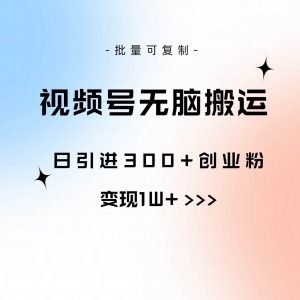 （10612期）视频号无脑搬运日引300+创业粉，变现1W+可批量复制-旺仔资源库