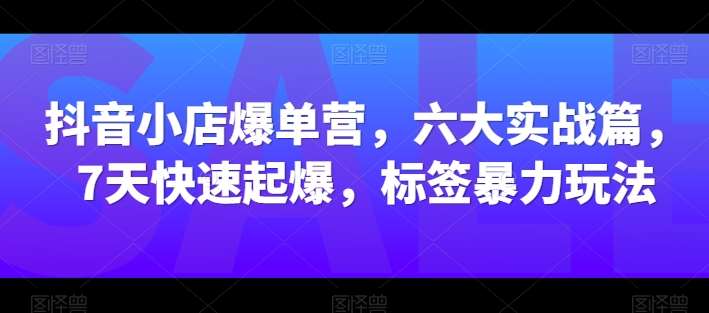 抖音小店爆单营，六大实战篇，7天快速起爆，标签暴力玩法-旺仔资源库