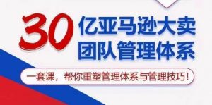 1062期）亿亚马逊大230  卖团队管理体系，一套课，帮你重塑管理体系与管理技巧-旺仔资源库