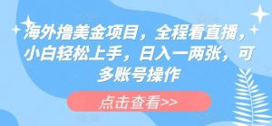 海外撸美金项目，全程看直播，小白轻松上手，日入一两张，可多账号操作【揭秘】-旺仔资源库