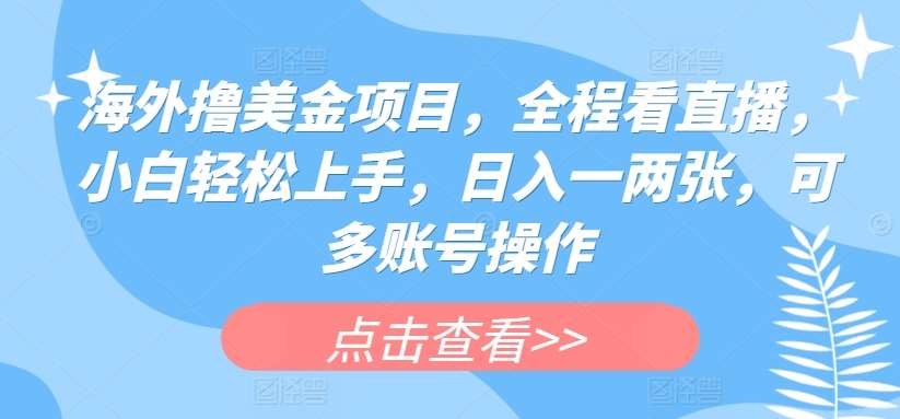 海外撸美金项目，全程看直播，小白轻松上手，日入一两张，可多账号操作【揭秘】-旺仔资源库