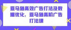 亚马逊高效广告打法及数据优化，亚马逊高阶广告打法课-旺仔资源库