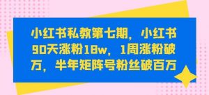 小红书私教第七期，小红书90天涨粉18w，1周涨粉破万，半年矩阵号粉丝破百万-旺仔资源库