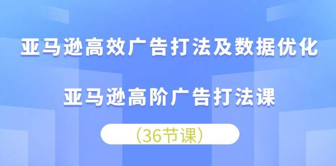 （10649期）亚马逊 高效广告打法及数据优化，亚马逊高阶广告打法课（36节）-旺仔资源库