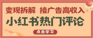 小红书热门评论，变现拆解，接广告高收入【揭秘 】-旺仔资源库