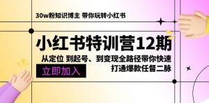 （10666期）小红书特训营12期：从定位 到起号、到变现全路径带你快速打通爆款任督二脉-旺仔资源库