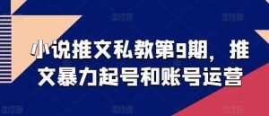 小说推文私教第9期，推文暴力起号和账号运营-旺仔资源库
