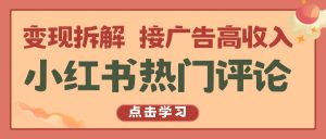 小红书热门评论，变现拆解，接广告高收入-旺仔资源库