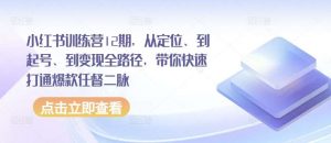小红书训练营12期，从定位、到起号、到变现全路径，带你快速打通爆款任督二脉-旺仔资源库