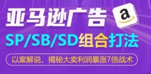 亚马逊SP/SB/SD广告组合打法，揭秘大卖利润暴涨7倍战术-旺仔资源库