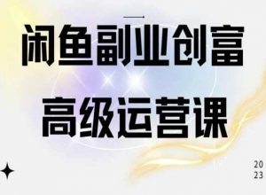 闲鱼电商运营高级课程，一部手机学会闲鱼开店赚钱-旺仔资源库