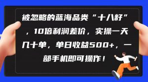 （10696期）被忽略的蓝海品类“十八籽”，10倍利润差价，实操一天几十单 单日收益500+-旺仔资源库