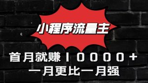 小程序流量主首月就赚10000+，一月更比一月强！小本创业首选-旺仔资源库