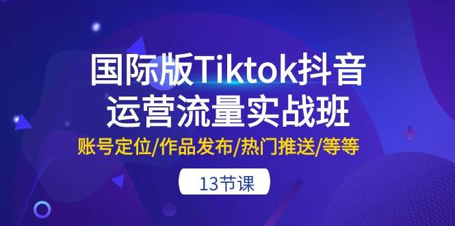 （10712期）国际版Tiktok抖音运营流量实战班：账号定位/作品发布/热门推送/等等-13节-旺仔资源库