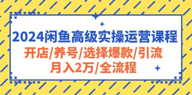 （10711期）2024闲鱼高级实操运营课程：开店/养号/选择爆款/引流/月入2万/全流程-旺仔资源库