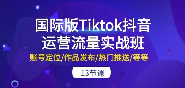 国际版Tiktok抖音运营流量实战班：账号定位/作品发布/热门推送/等等-13节-旺仔资源库