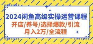 闲鱼高202级实操运营课程：开店4/养号/选择爆款/引流/月入2万/全流程-旺仔资源库