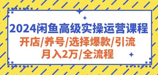 2024闲鱼高级实操运营课程：开店/养号/选择爆款/引流/月入2万/全流程-旺仔资源库