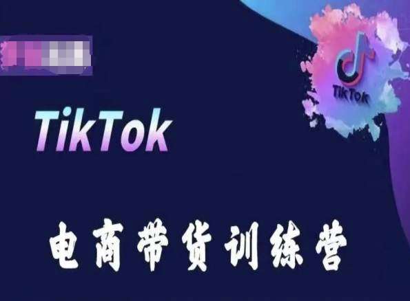 TikTok电商带货训练营，跟随时代潮流，跨境掘金-旺仔资源库