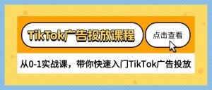 （10731期）TikTok广告投放课程，从0-1实战课，带你快速入门TikTok广告投放（30节课）-旺仔资源库