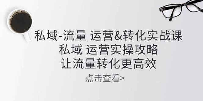 私域流量运营&转化实操课：私域运营实操攻略，让流量转化更高效-旺仔资源库