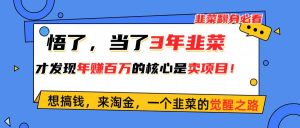 （10759期）悟了，当了3年韭菜，才发现网赚圈年赚100万的核心是卖项目，含泪分享！-旺仔资源库