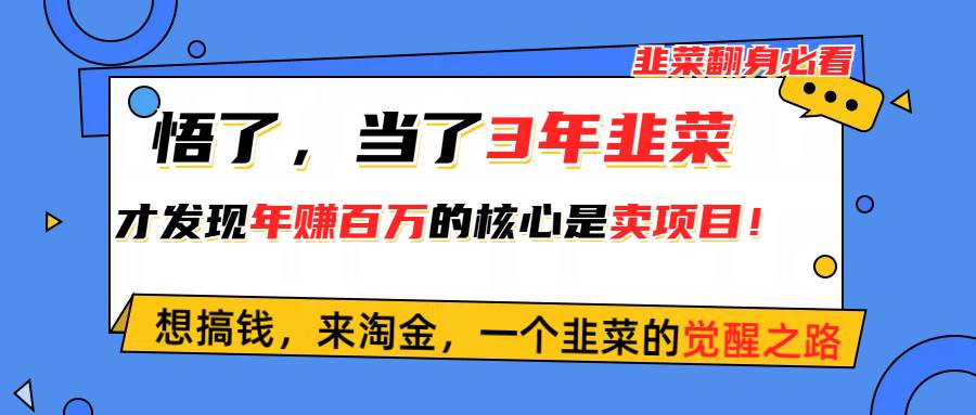 （10759期）悟了，当了3年韭菜，才发现网赚圈年赚100万的核心是卖项目，含泪分享！-旺仔资源库