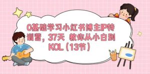 （10764期）0基础学习小红书博主IP特训营，37天 教你从小白到KOL（13节）-旺仔资源库