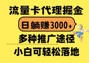 （10771期）流量卡代理掘金，日躺赚3000+，首码平台变现更暴力，多种推广途径，新…-旺仔资源库