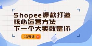 （10777期）Shopee-爆款打造核心运营方法，下一个大卖就是你（13节课）-旺仔资源库