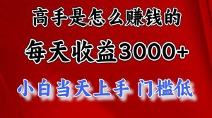 高手是怎么赚钱的，一天收益3000+，闷声发财项目，不是一般人能看懂的-旺仔资源库