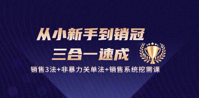 从小新手到销冠三合一速成：销售3法+非暴力关单法+销售系统挖需课 (27节)-旺仔资源库