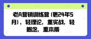 老A营销训练营(更24年5月)，轻理论，重实战，轻概念，重本质-旺仔资源库