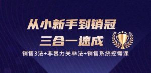 从小新手到销冠 三合一速成：销售3法+非暴力关单法+销售系统挖需课 (27节)-旺仔资源库