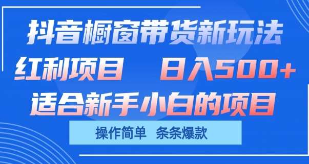 抖音橱窗带货新玩法，单日收益几张，操作简单，条条爆款【揭秘】-旺仔资源库