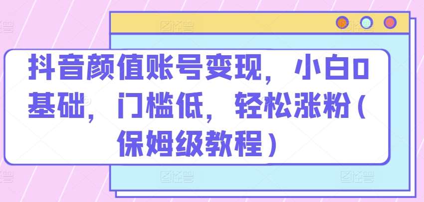 抖音颜值账号变现，小白0基础，门槛低，​轻松涨粉(保姆级教程)【揭秘】-旺仔资源库