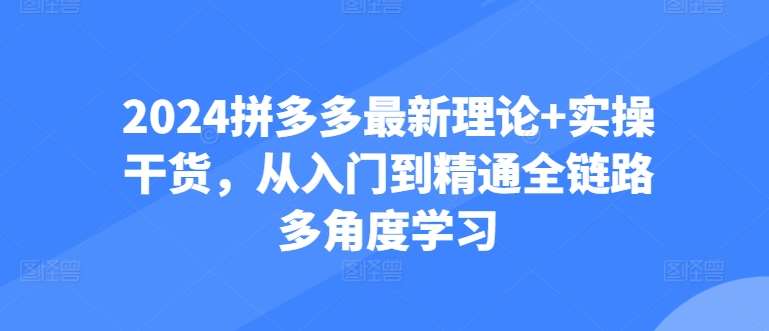 2024拼多多最新理论+实操干货，从入门到精通全链路多角度学习-旺仔资源库